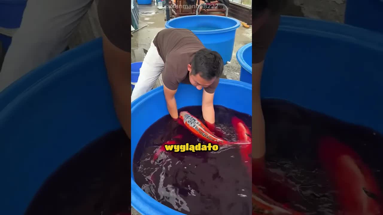 Płyn w akwarium ocalił ryby