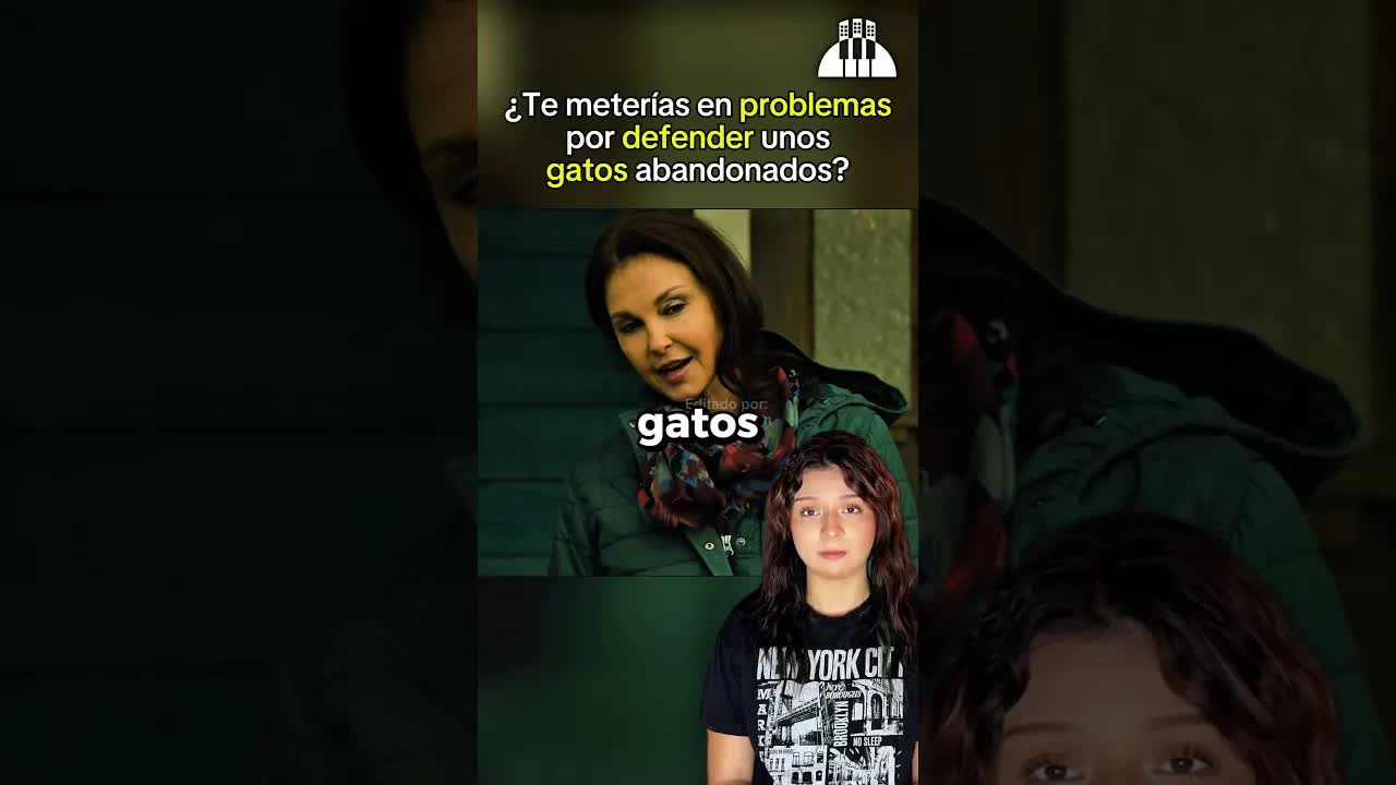 Conflicto entre vecino y control de animales por gatos