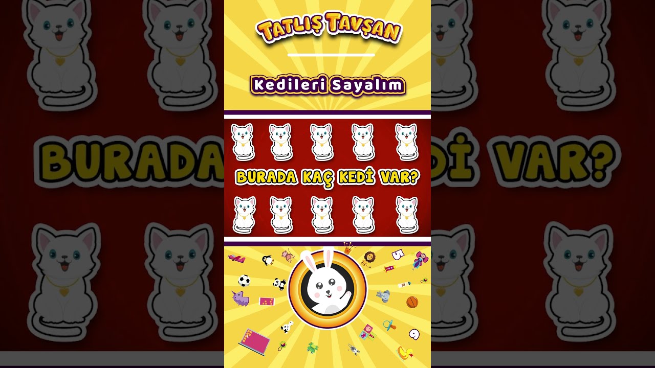Kedileri Sayalım ve Öğrenelim