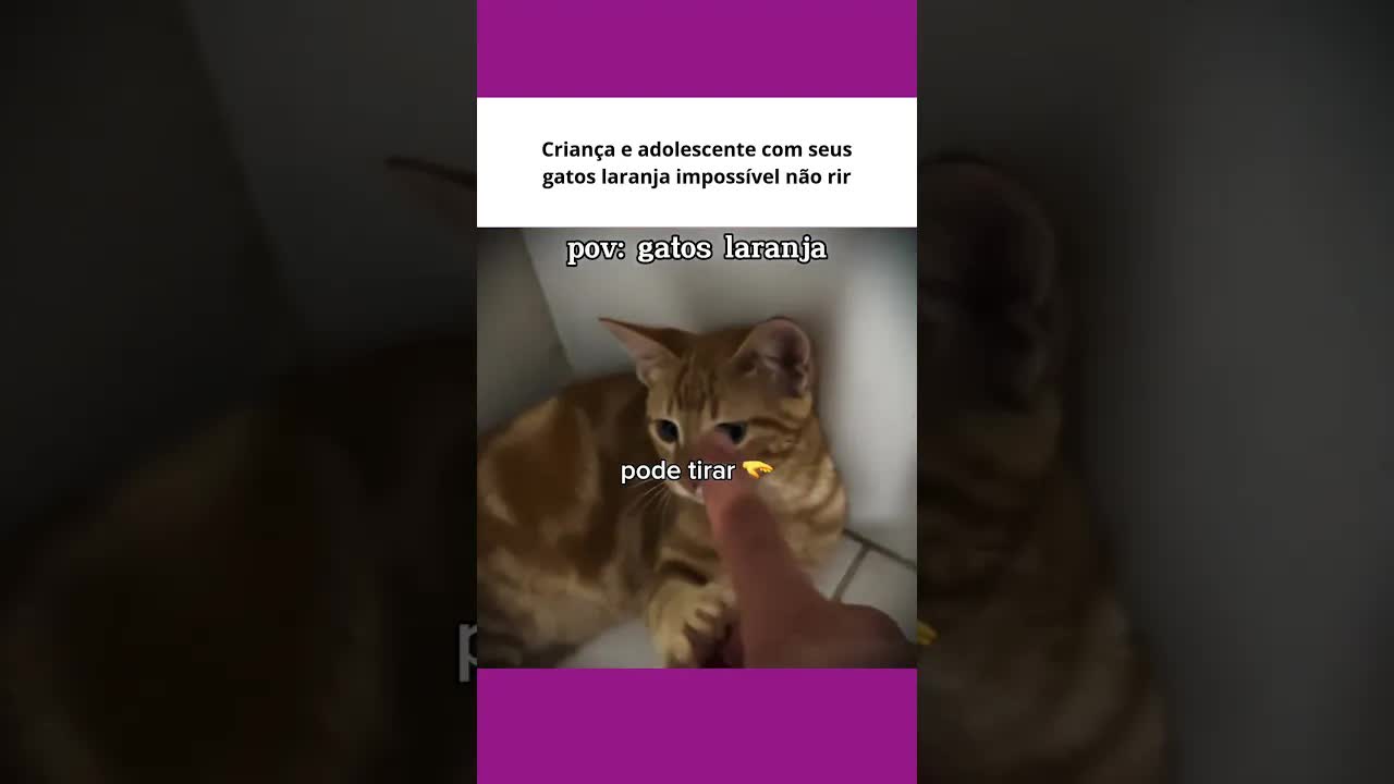 Criança com gatos laranja fazendo bagunça