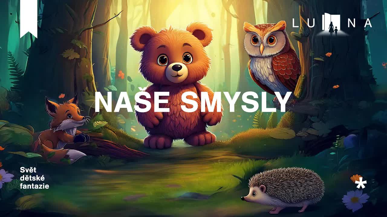 Pohádka o medvídkovi a jeho smyslech