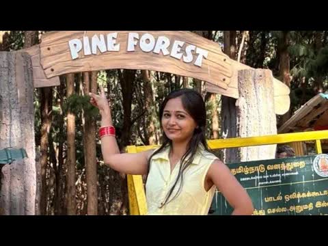 कोडाईकनाल पाइन फॉरेस्ट परिवार यात्रा ब्लॉग