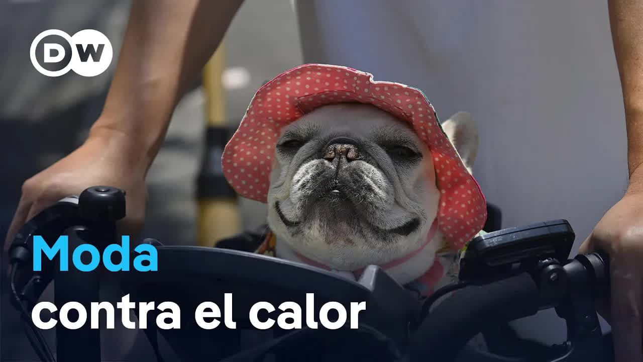 Innovación contra el calor extremo en Japón