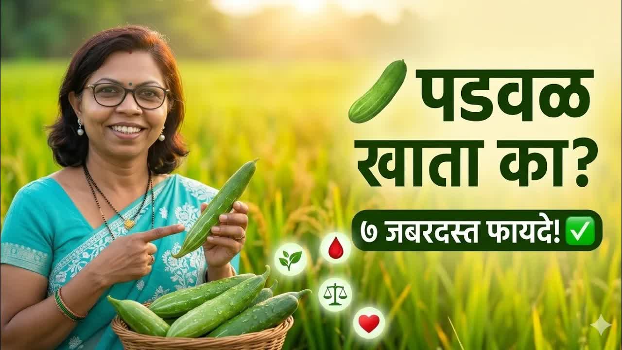 पडवळच्या भाजीचे ७ आरोग्यदायी फायदे