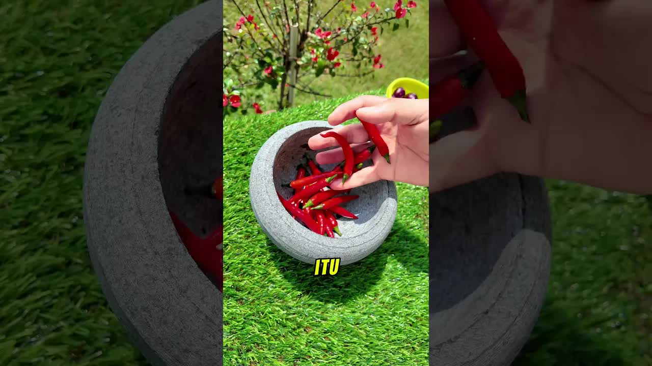 Cara Mudah Blender Bawang dalam 5 Saat