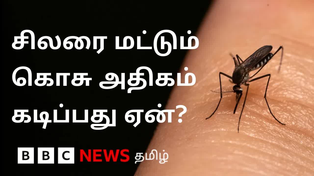 கொசுக்கள் சிலரை ஏன் அதிகம் கடிக்கின்றன?