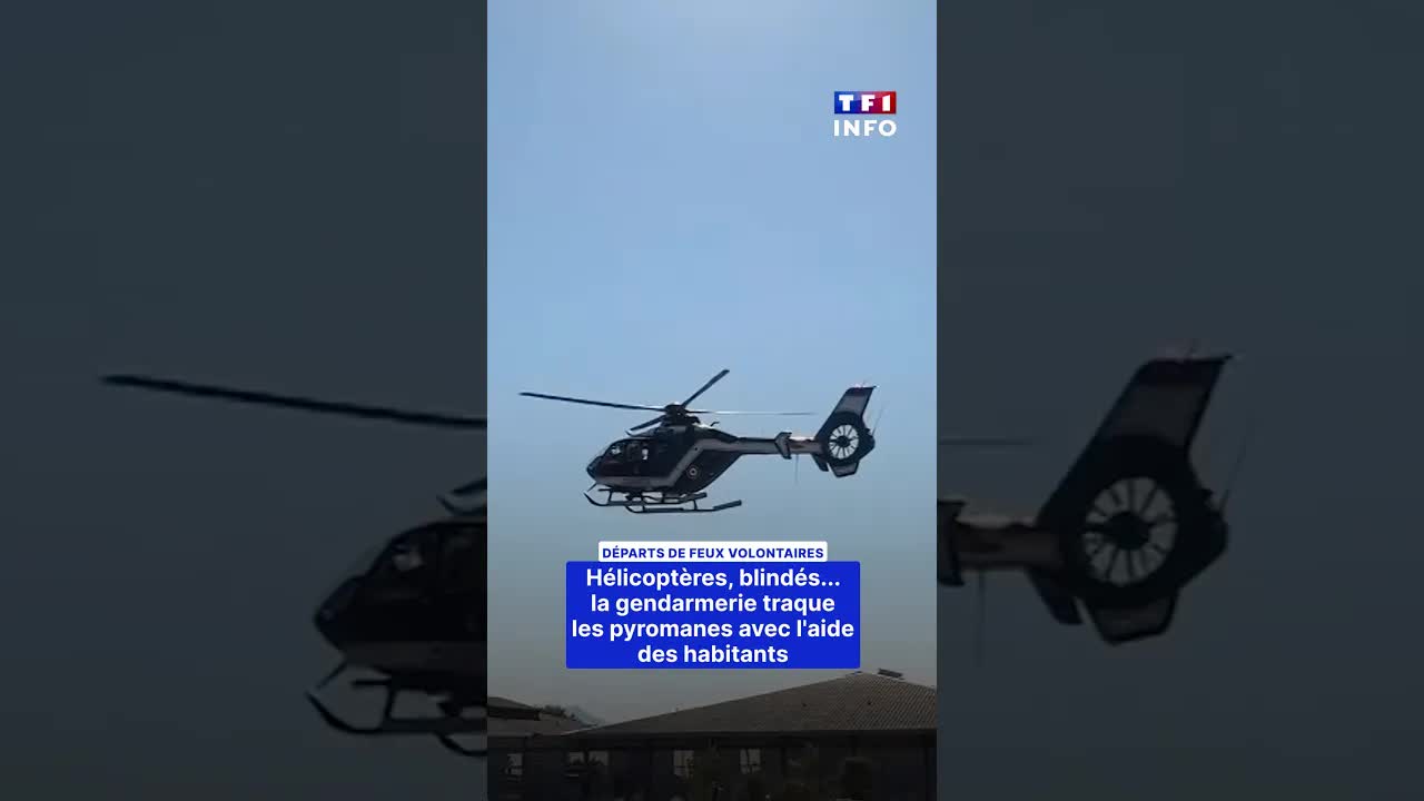 La gendarmerie traque les pyromanes en forêt