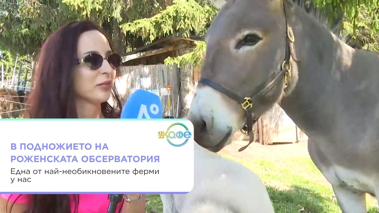 Фермата на Дядо Коледа в Родопите
