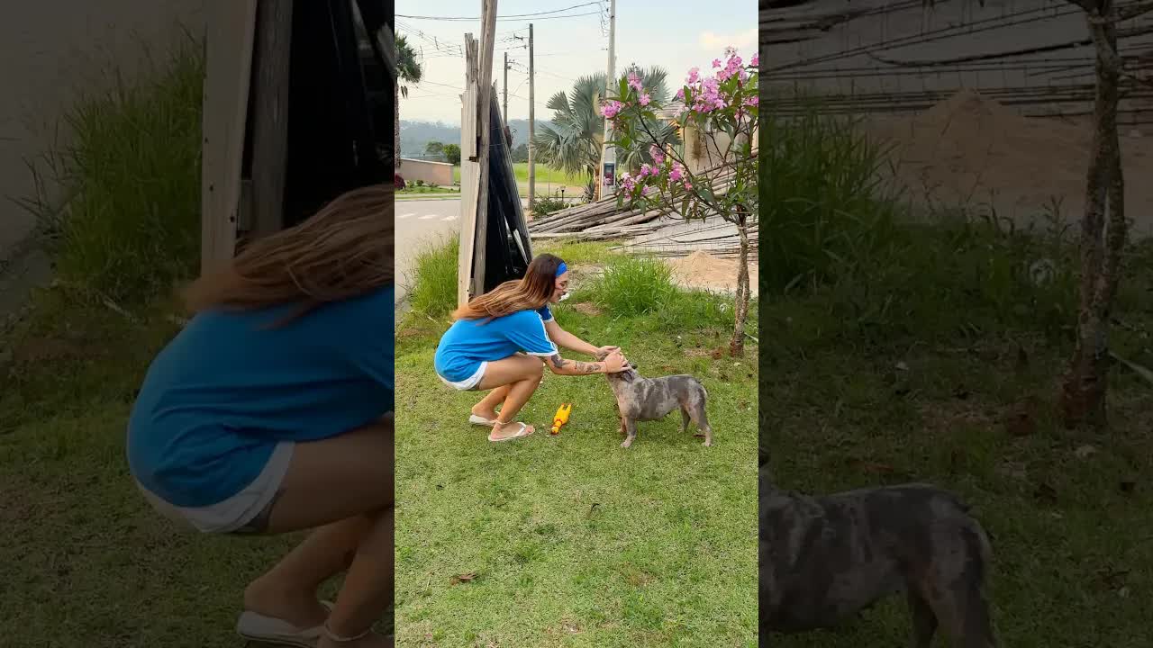 Pandora Sumiu e Fez Uma Nova Amiga