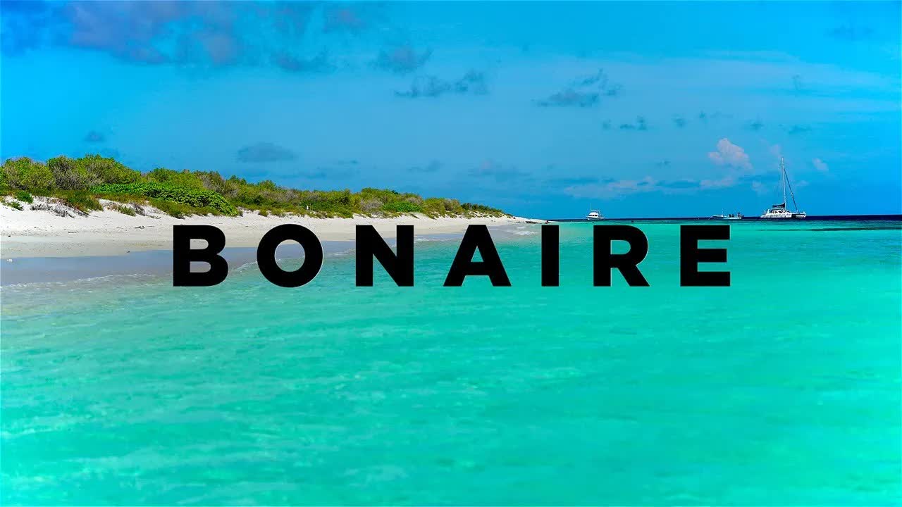 Reisvlog: Alles zien op Bonaire