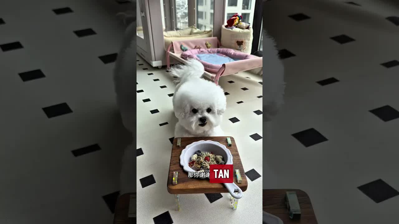 Mamá me sorprendió con juguetes nuevos