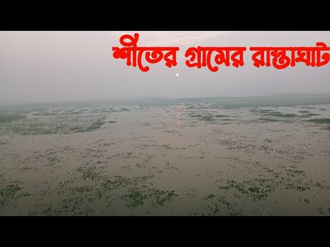 শীতের সকালে বগুড়ার গ্রামীণ পরিবেশ ও হাঁটার অভিজ্ঞতা