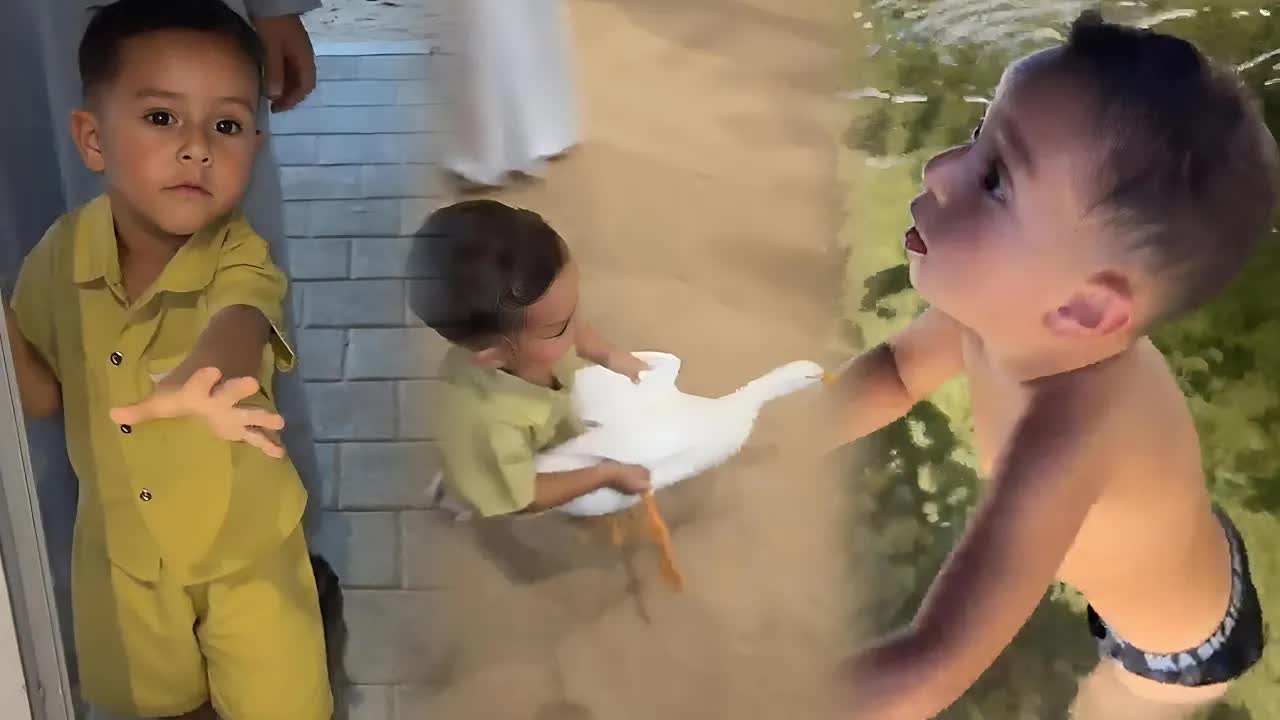 فيصل يسبح مع البط والسمك