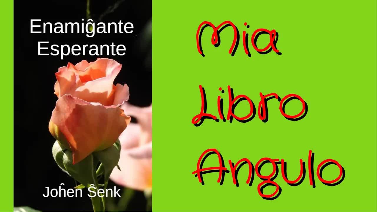 Pri La Libro Enamiĝante Esperante
