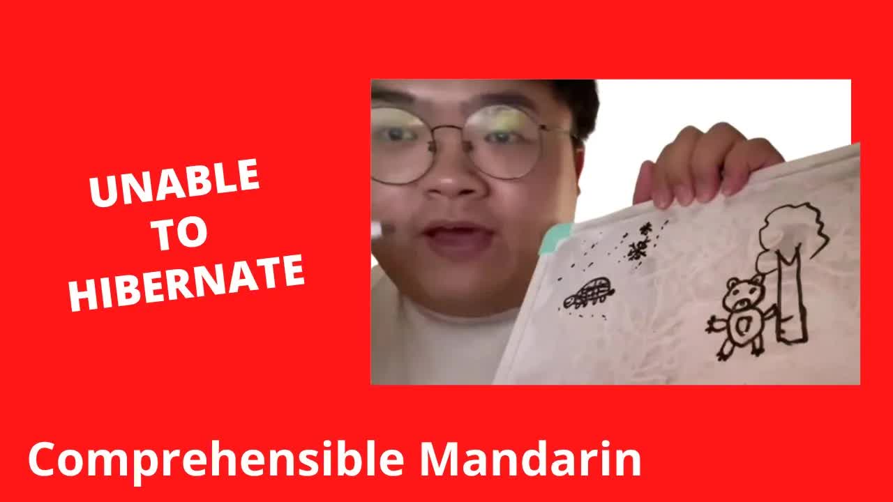 小乌龟和小熊睡不着的故事