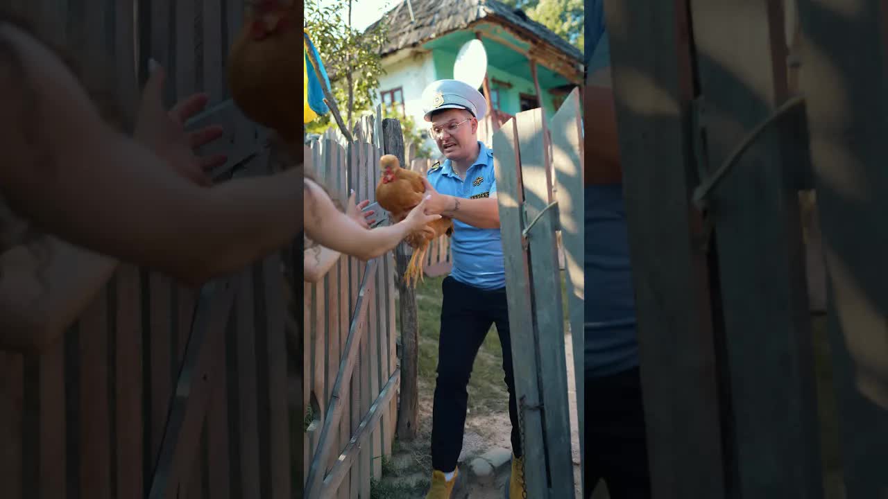 Să iau o găină bolnavă la veterinar