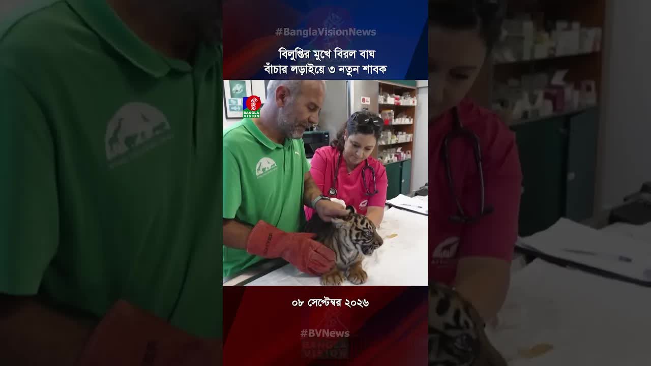 বিলুপ্তির মুখে বিরল বাঘ ও নতুন শাবকদের জন্ম