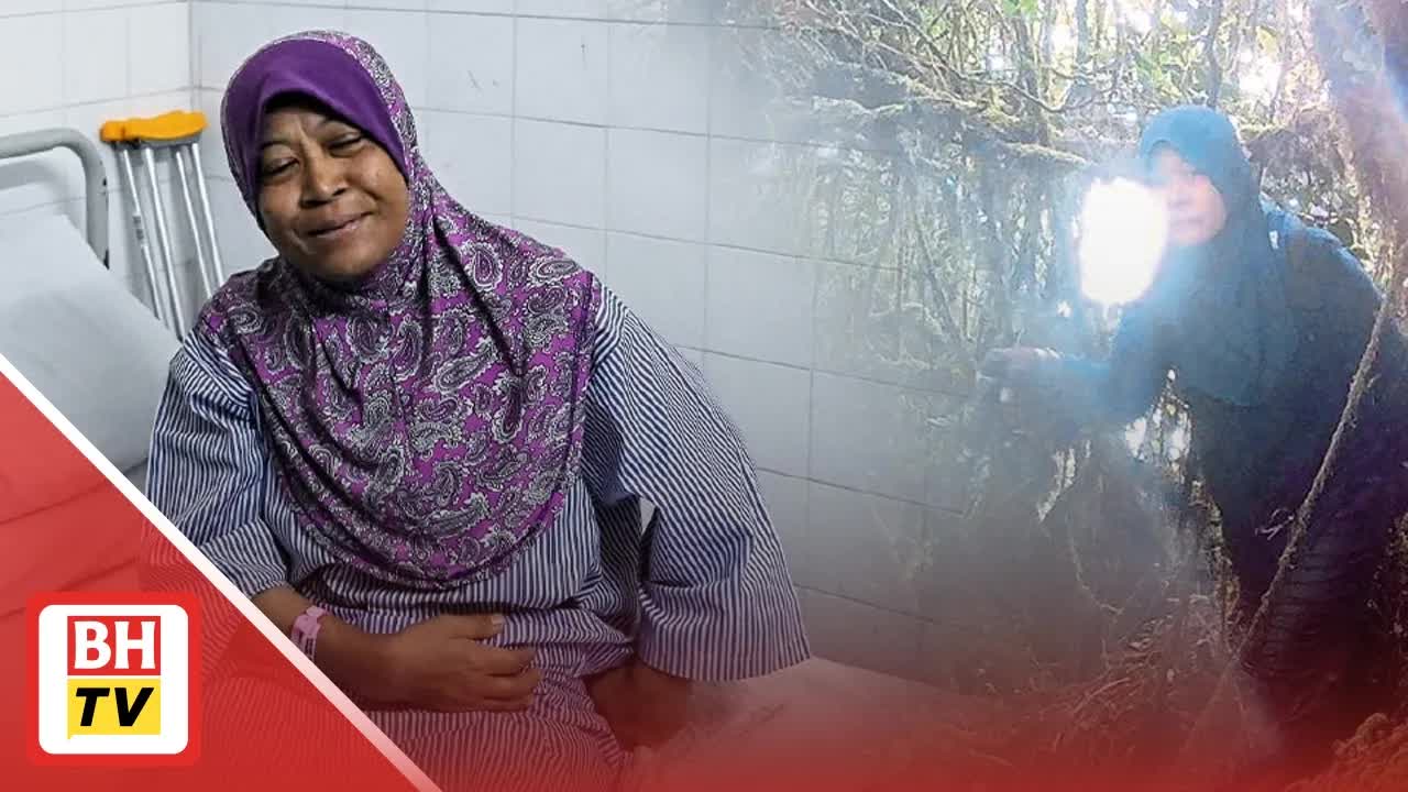 Pendaki Wanita Selamat Selepas Tersesat 14 Hari di Hutan