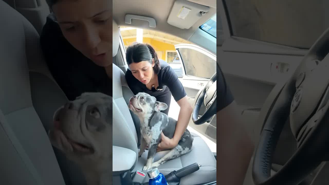 ¿Harías lo mismo que yo?