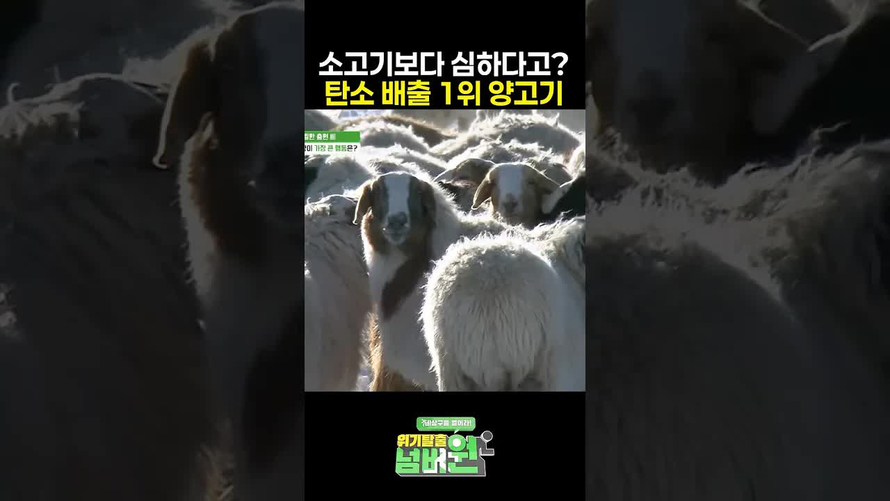 양고기의 탄소 배출량과 푸드 마일리지