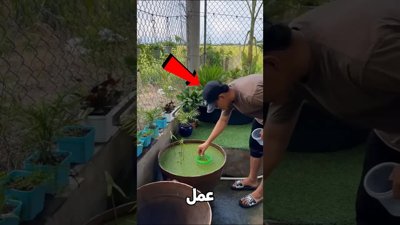 مفاجأة غريبة في حوض السمك بعد السفر