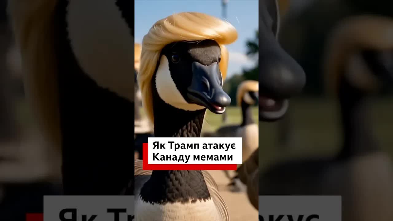 Трамп та канадські гуси: мем про озеро Америка