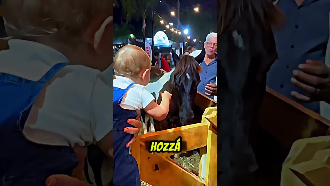 A baba és a ló édes ölelése