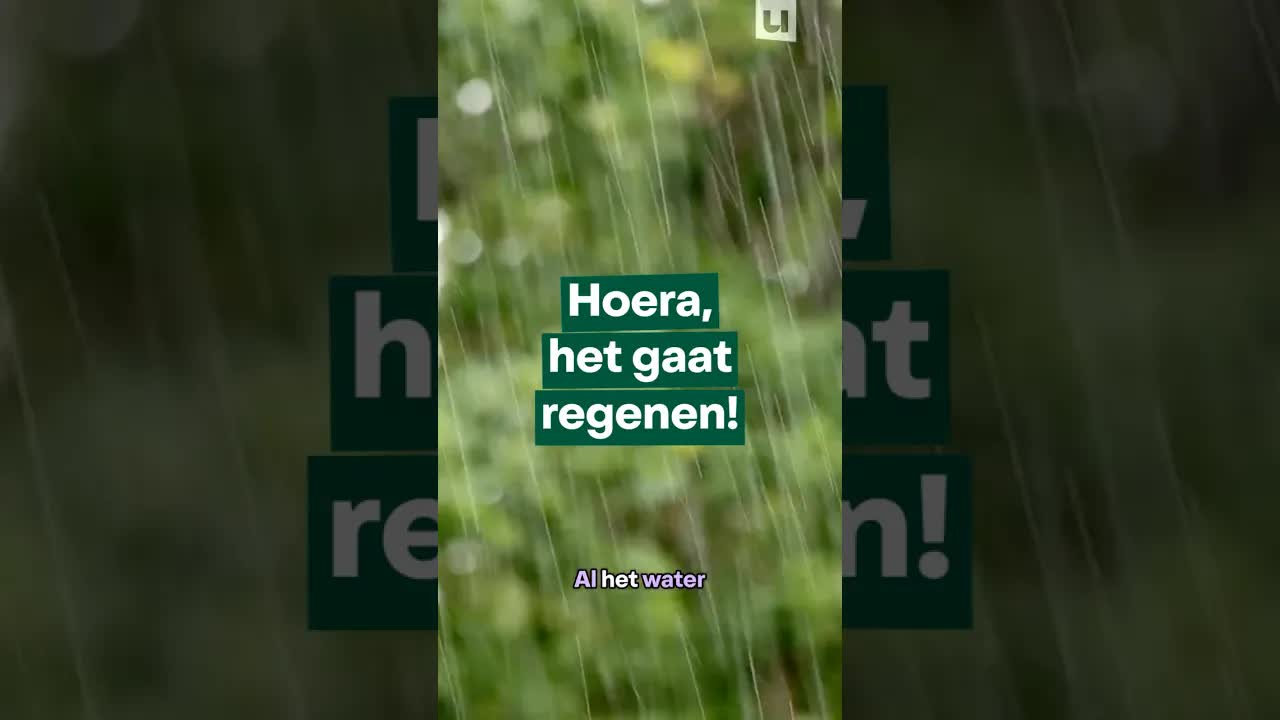 Hoe regen het grondwater in Vlaanderen aanvult