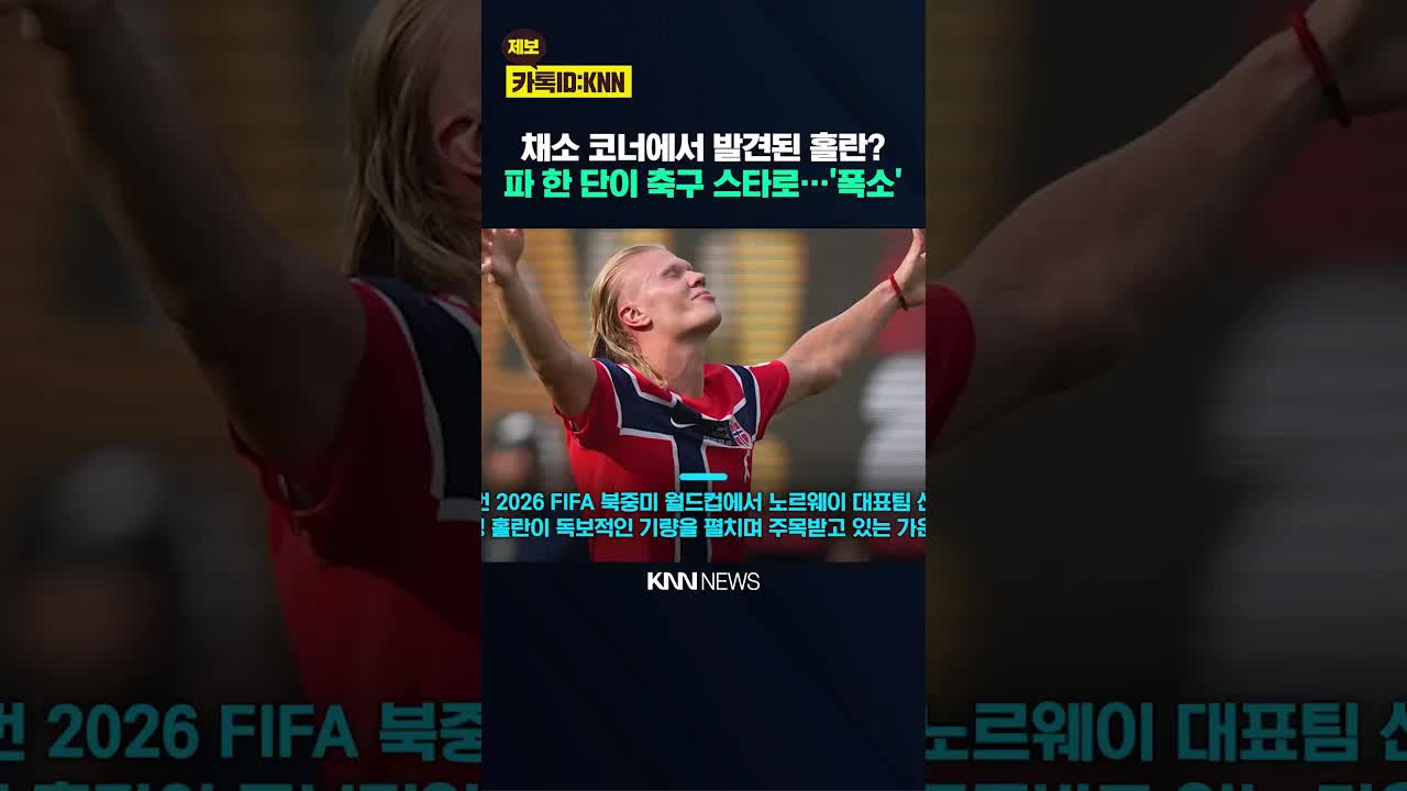 월드컵 스타 홀란과 대파 짤의 뜻밖 만남
