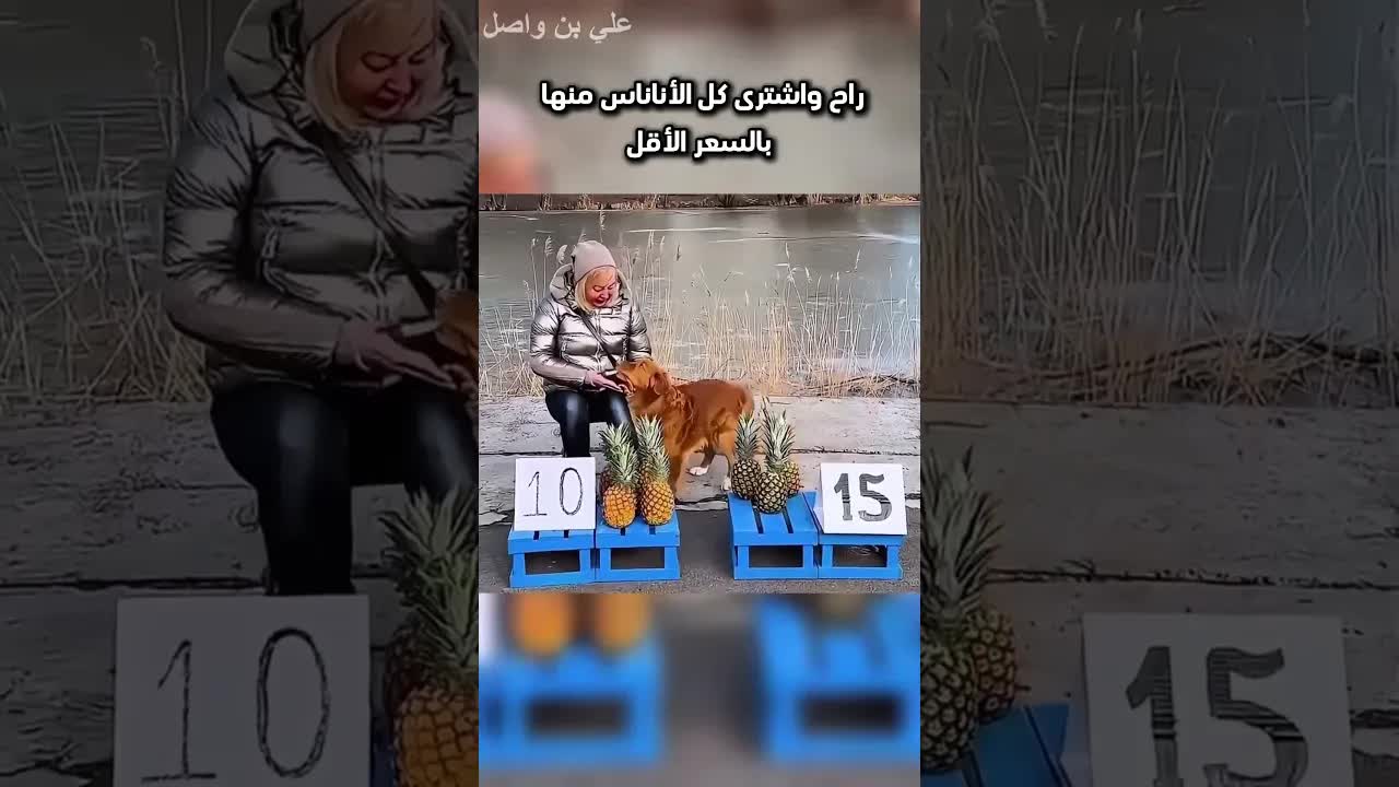 هذه المرأة تنافس كلبًا في بيع الأناناس