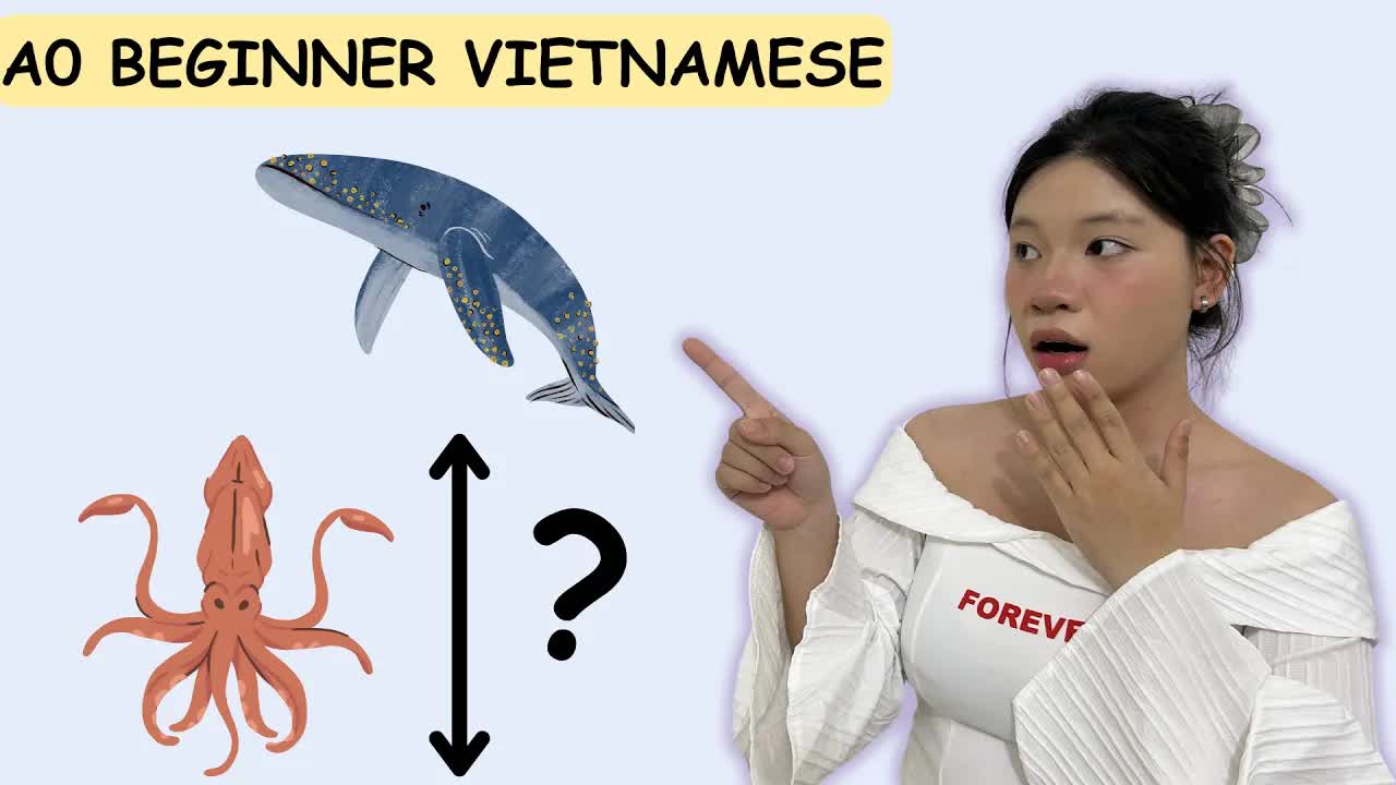 So sánh chiều cao và độ dài các vật thể