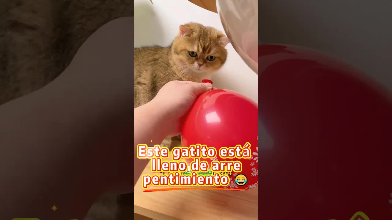 Mi propio pedo me hizo llorar