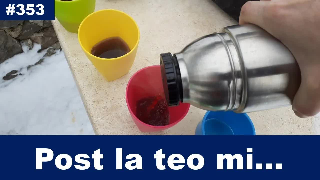 Vintro en la montoj: Sledado kaj naturo