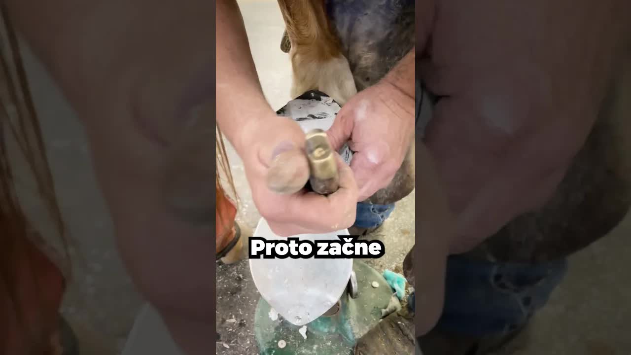 Proč odšroubovává podkovu z koňského kopyta?