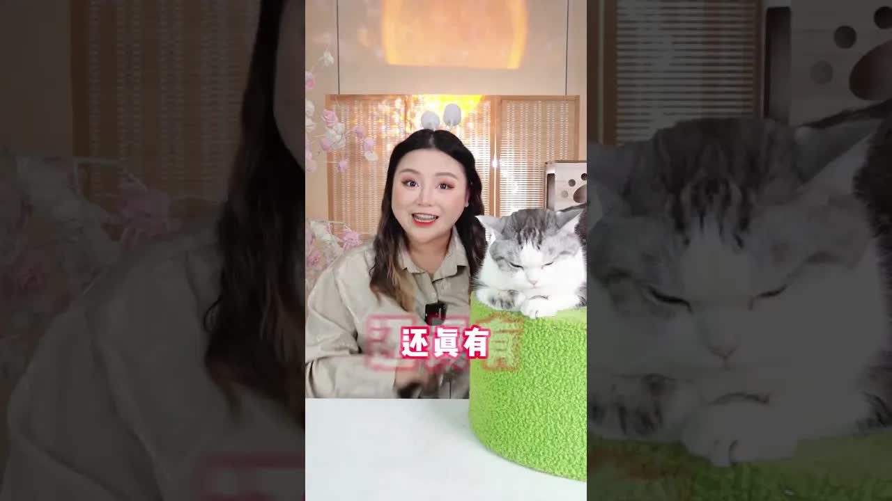 猫咪眼中的手机世界