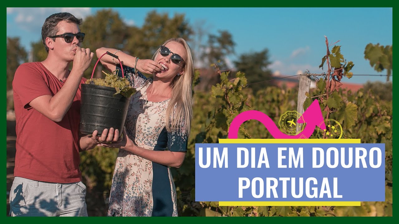 Vlog Viagem: Passeios e Vinícolas no Douro