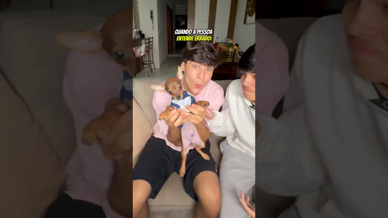 Encontrando um bichinho fofo na mão