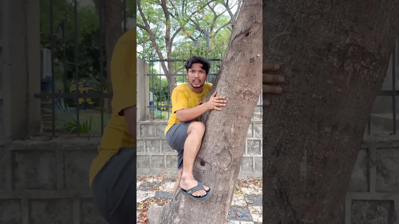 జీవితాన్ని ఎలా చూడాలి? బటర్‌ఫ్లై ఎఫెక్ట్ వివరణ