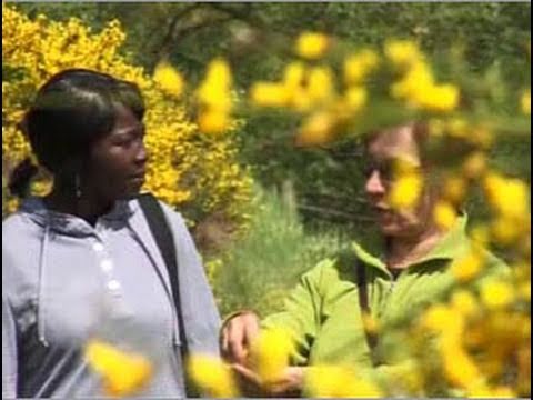 Rama i Mercè: Cita al Volcà Croscat i La Fageda