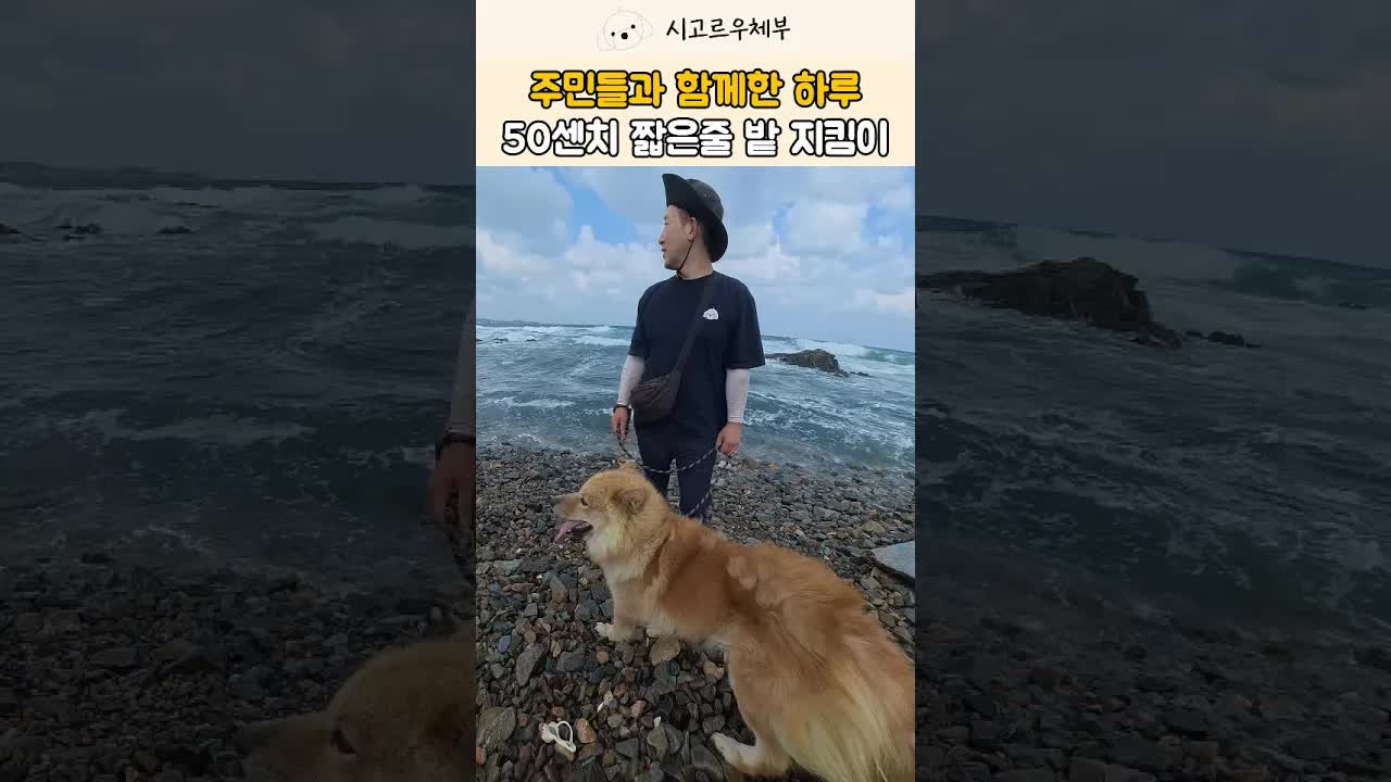 바닷가 밭 지킴이 시루의 새로운 집 마련