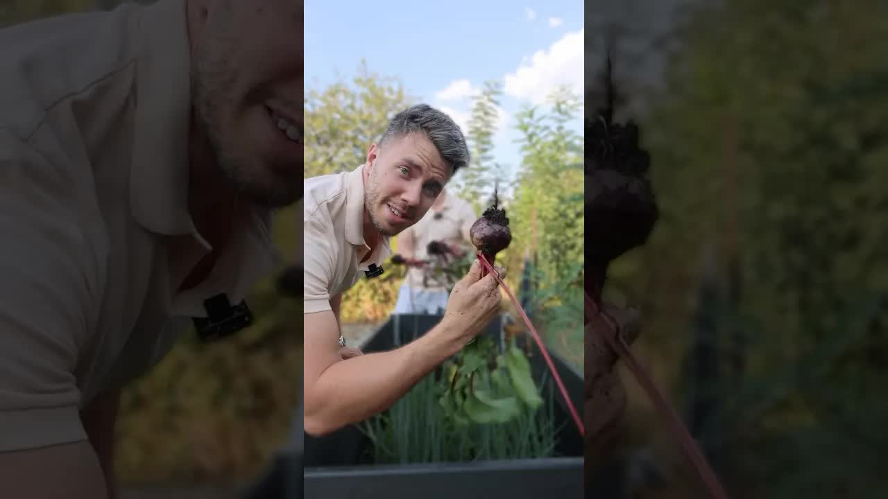 Házi céklából készült saláta receptje
