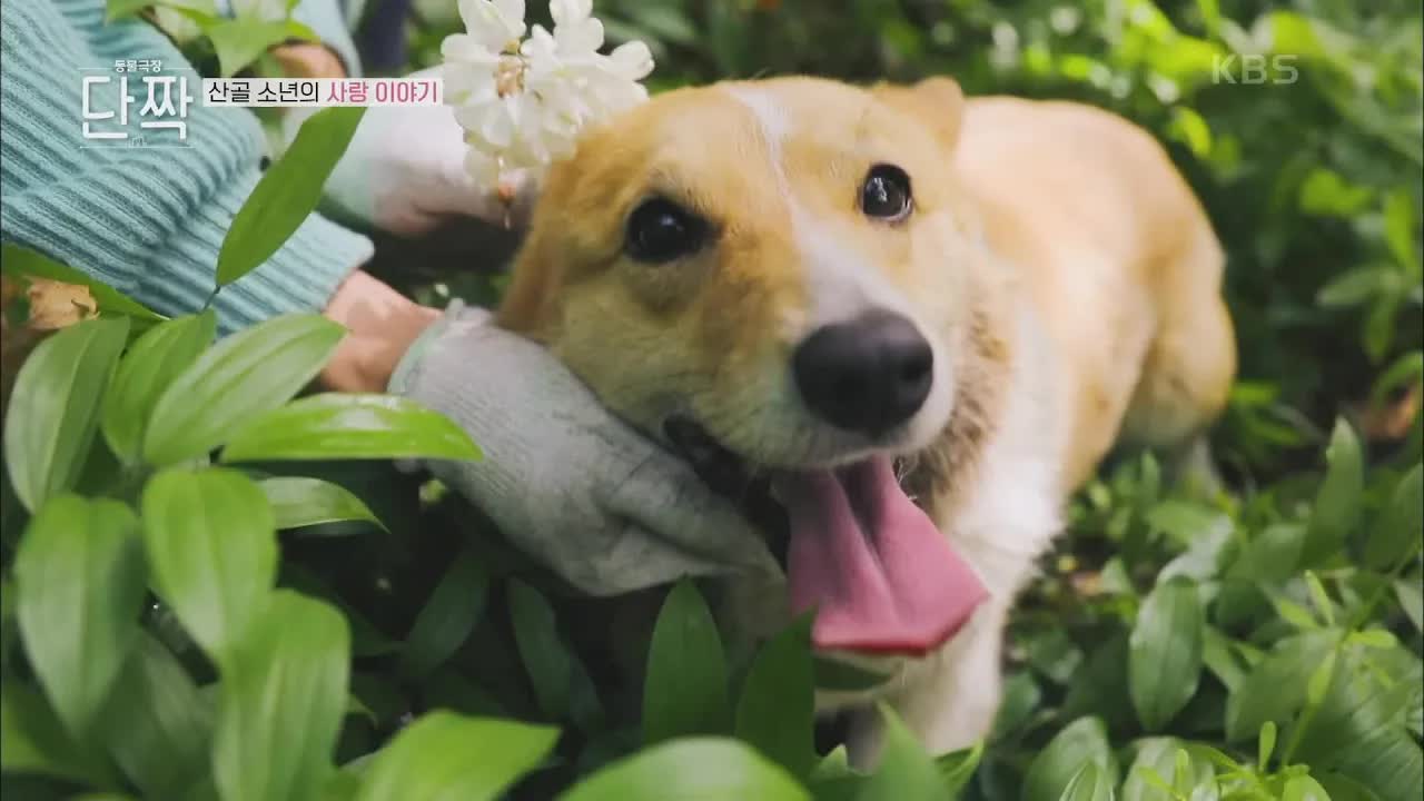 산골 주민과 두꺼비 친구의 하루
