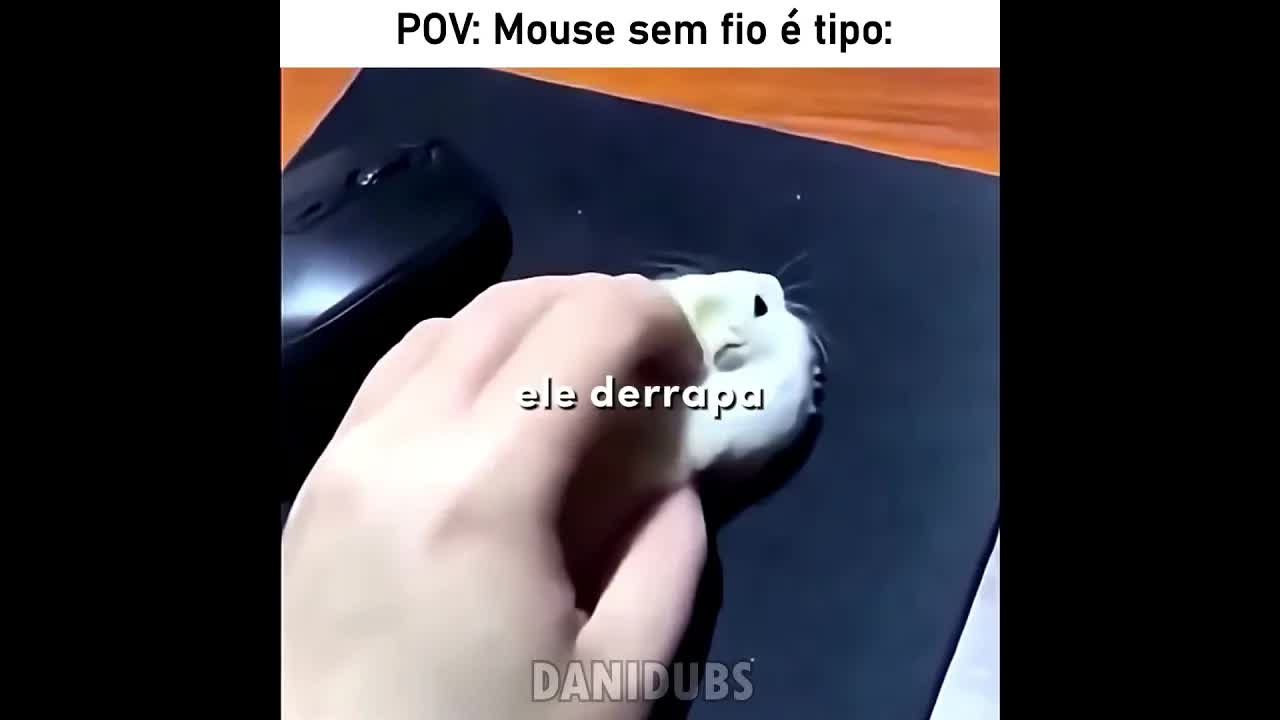 O mouse mais fofo e funcional do momento