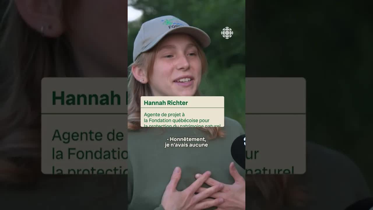 Observer les chauves-souris au Québec