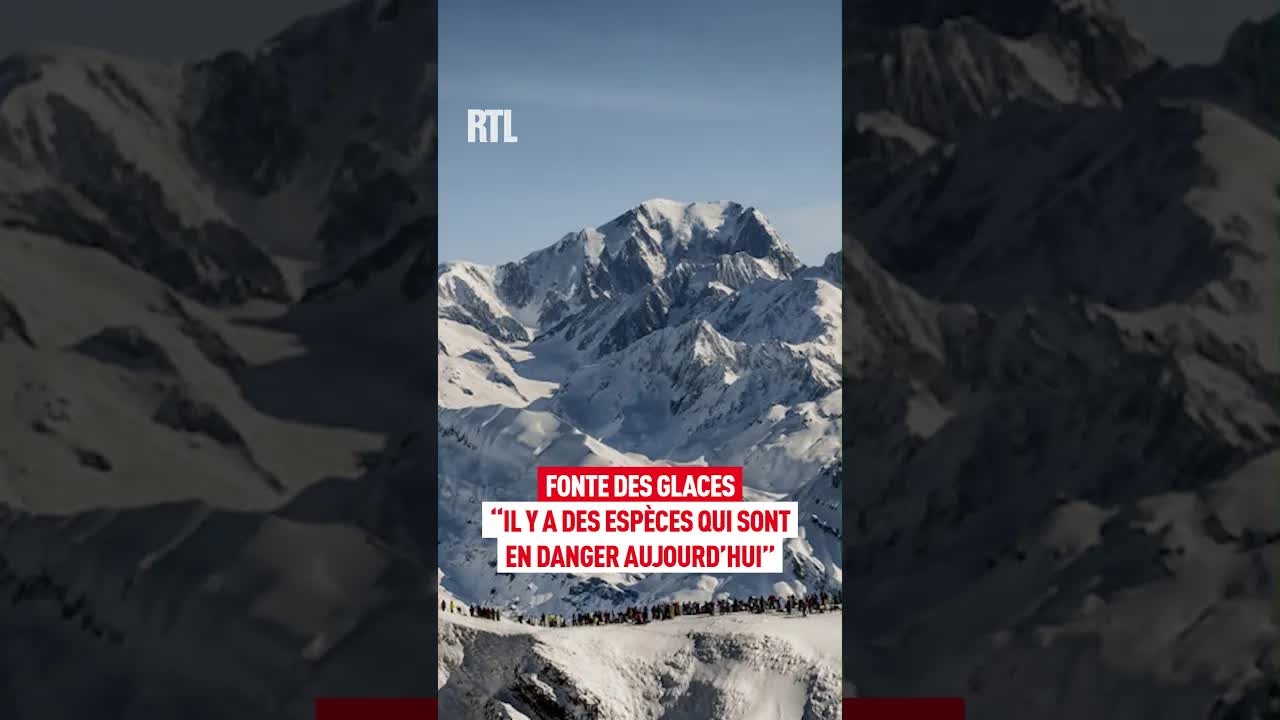 La fonte des glaces menace les espèces alpines