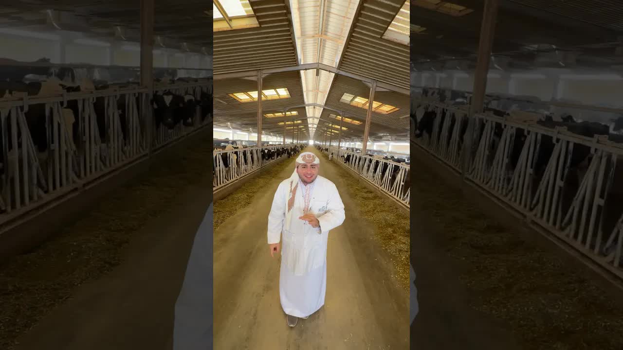 كيف تصل الحليب الطازج من المزرعة إليك؟
