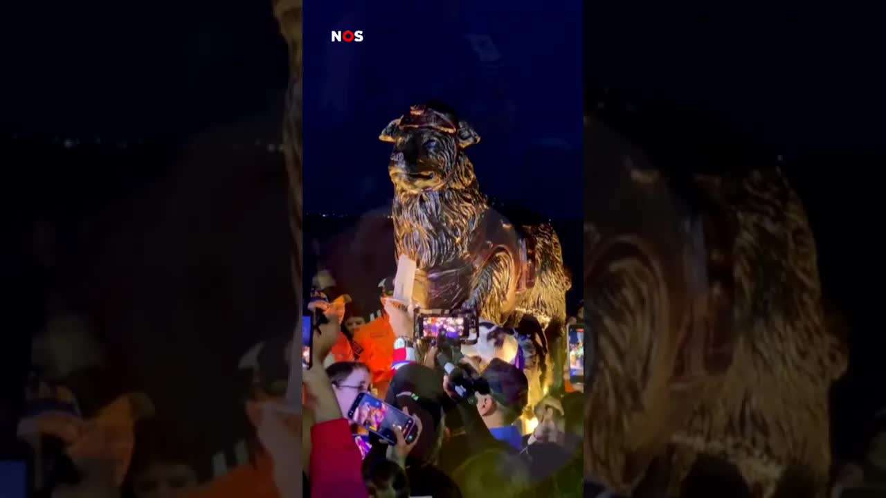 Hond Tsunami krijgt standbeeld na reddingen aardbeving