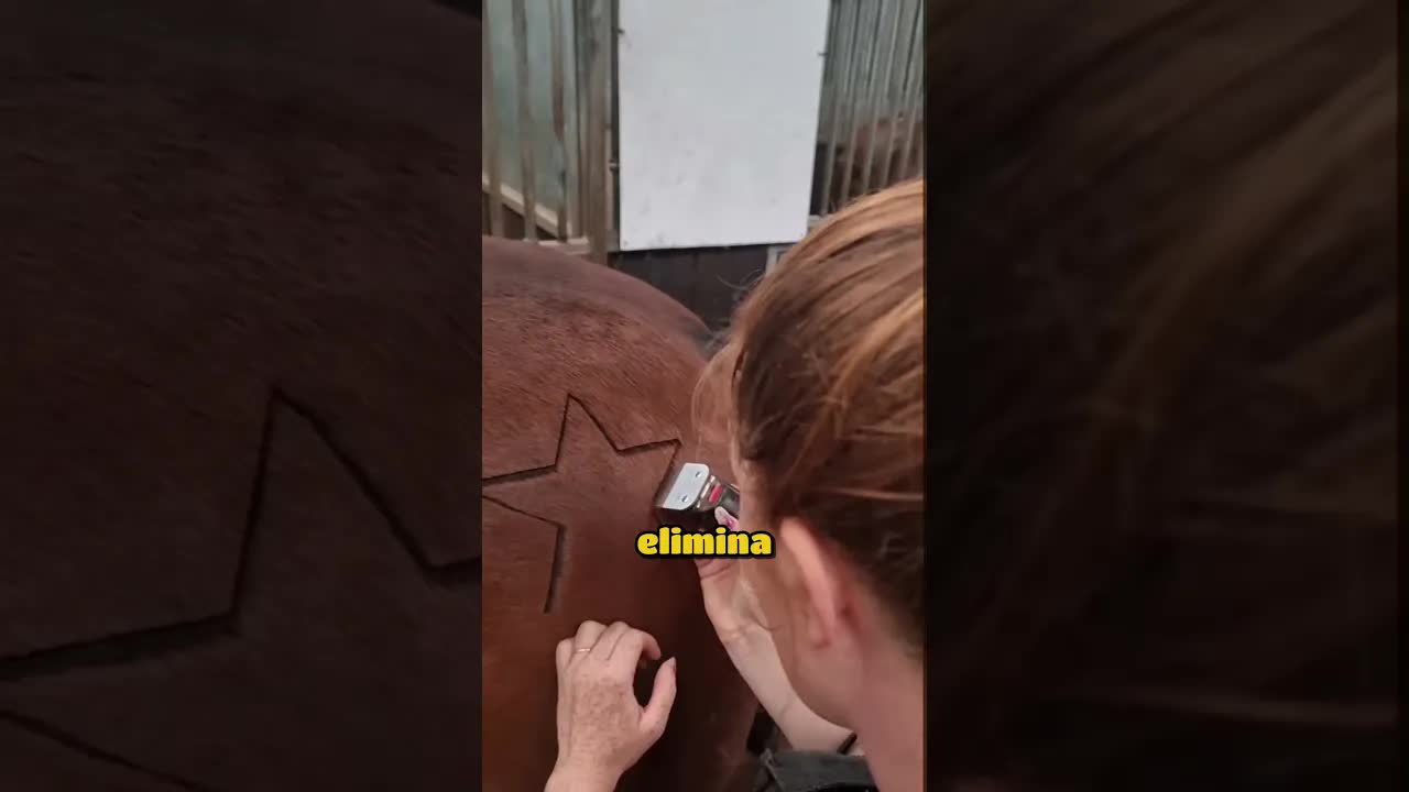 Crean un rayo en el pelaje de un caballo