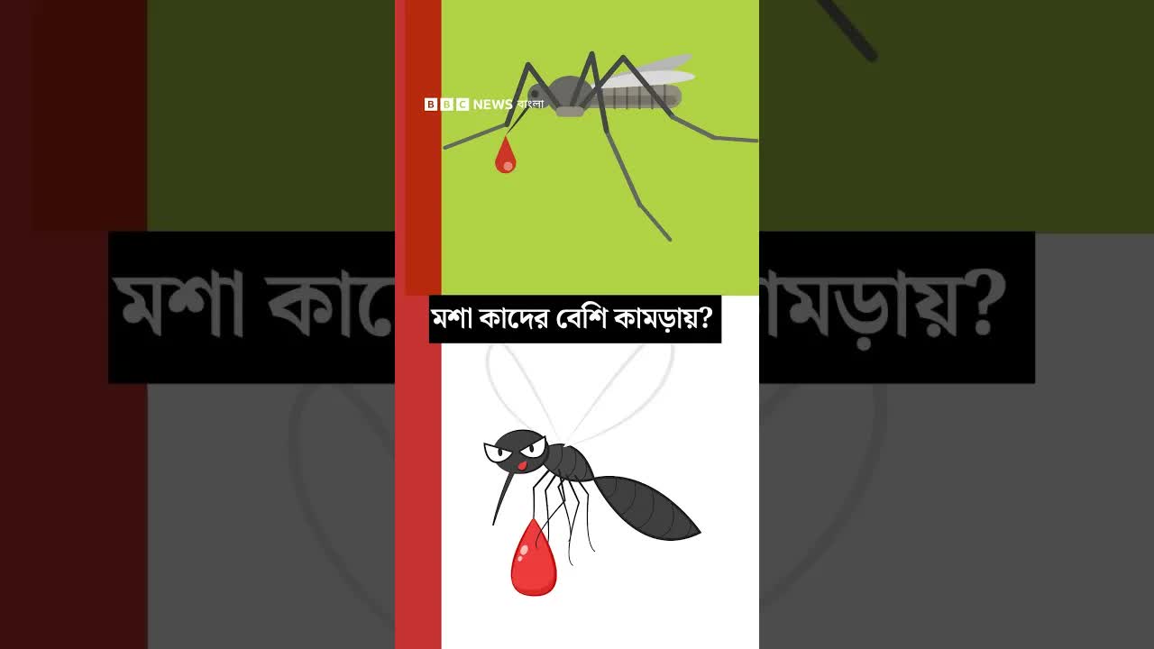 মশা কাদের কামড়ায় সবচেয়ে বেশি?