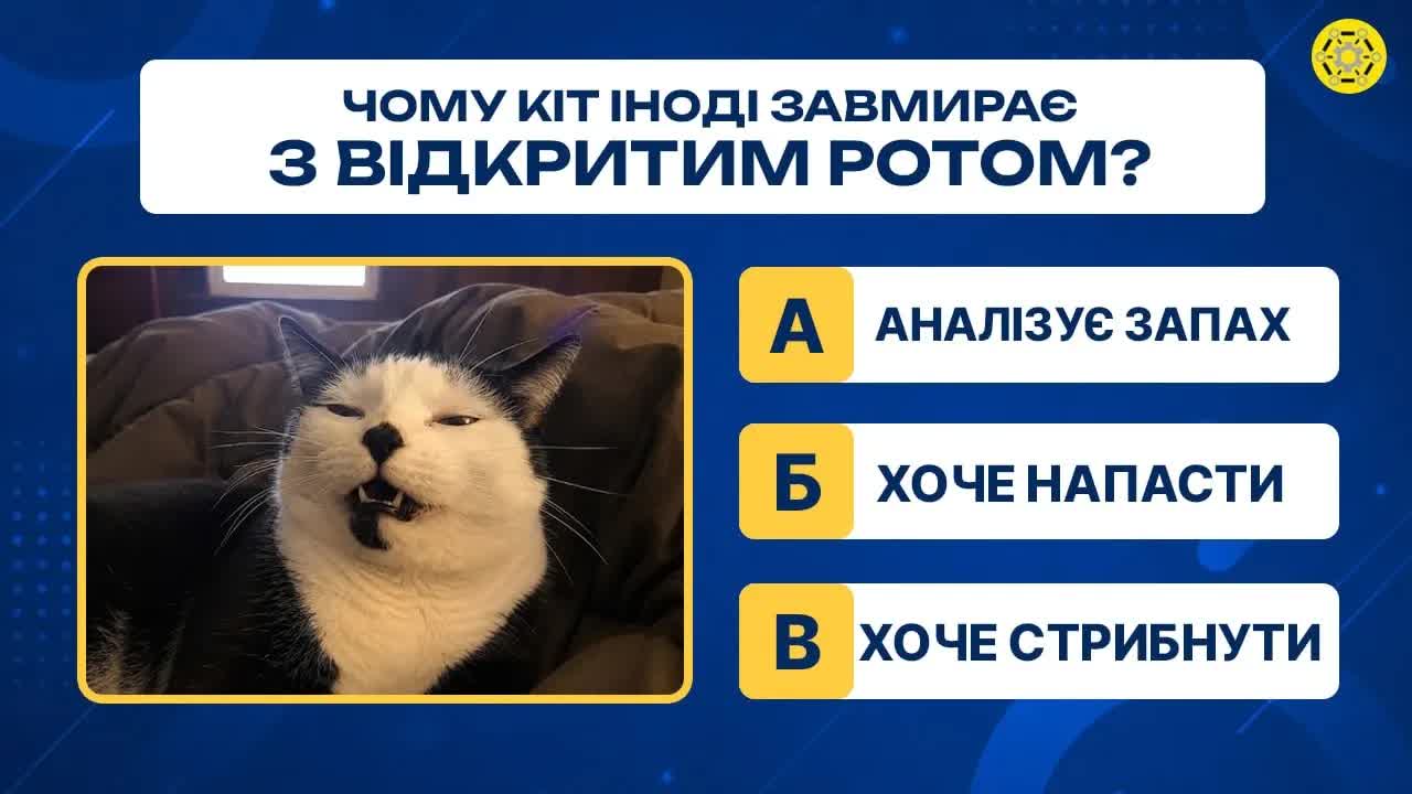 Вікторина: Чи добре ви знаєте тварин?